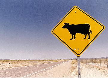 《刺客信条：影》新视频 探索神秘的隐藏小径